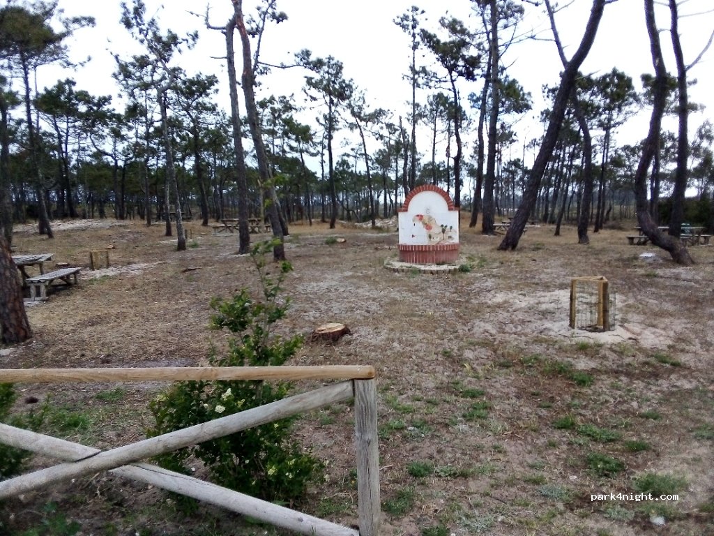 (2430) Vieira de Leiria - 92 Rua Dom Dinis — foto 2
