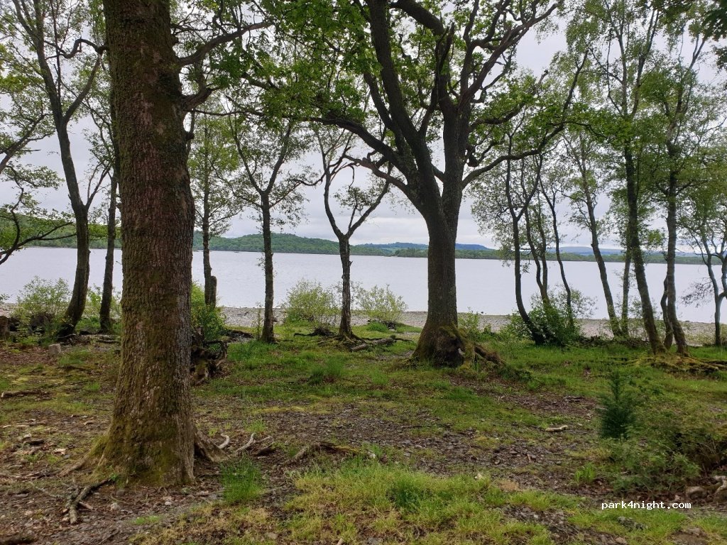Millarochy Bay Camping — foto