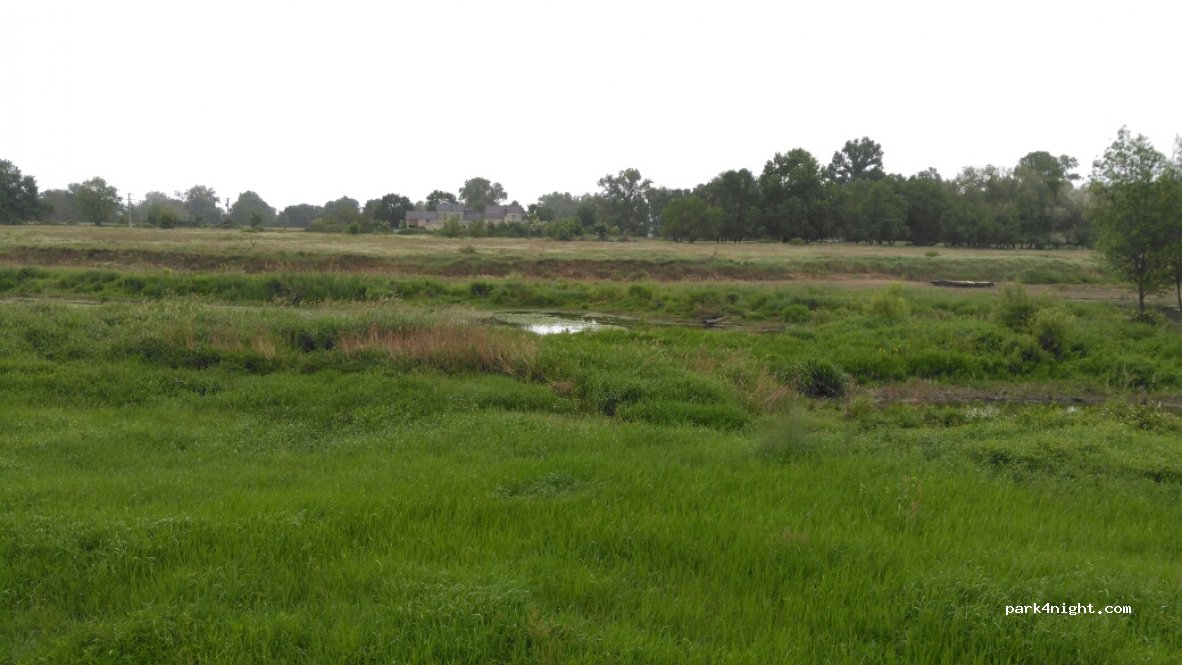 (49400) Souzay-Champigny - 50 Route des Ducs d'Anjou — foto