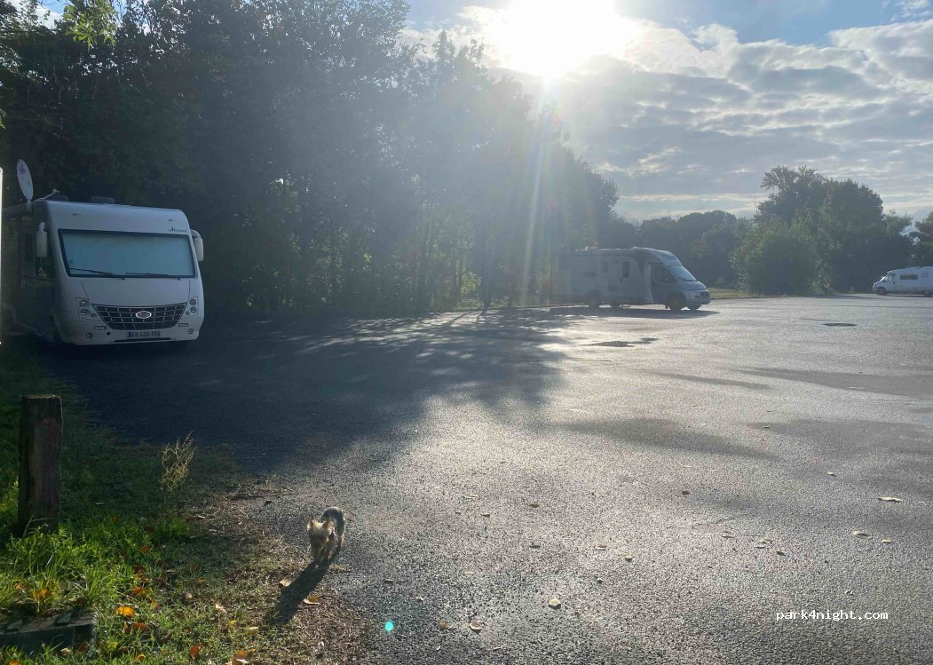 (49400) Souzay-Champigny - 50 Route des Ducs d'Anjou — foto 3