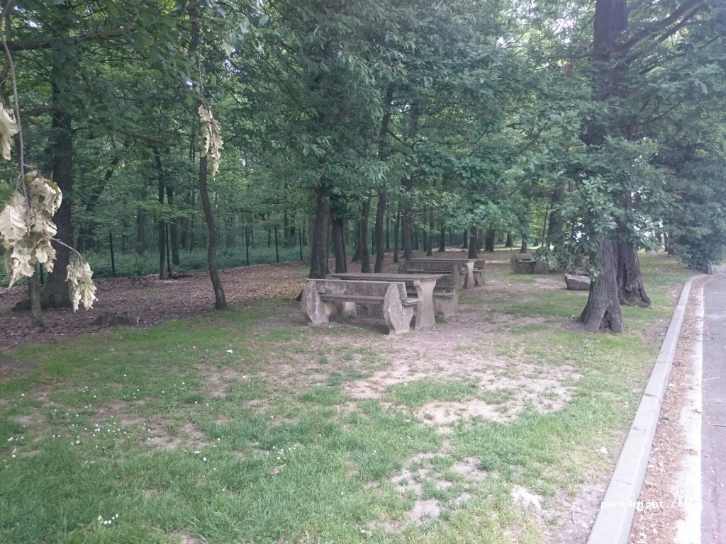 (28500) Vert-en-Drouais - Le Bois de Vert — foto