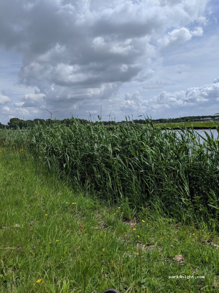 (3238) Zwartewaal - Kanaaldijk West — foto