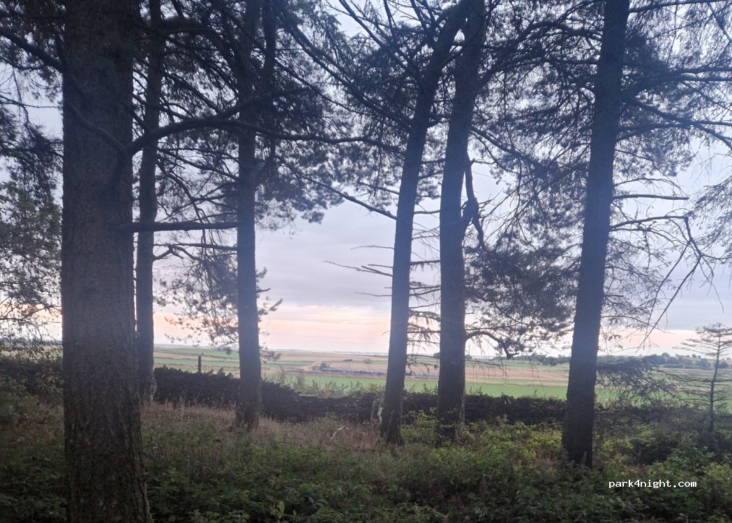 (S18 7WG)  - Fox Lane — foto