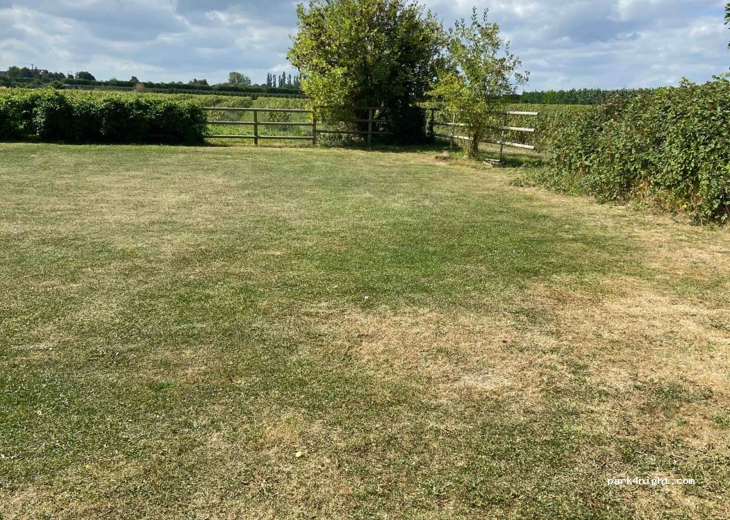 The Plough Inn — foto 4