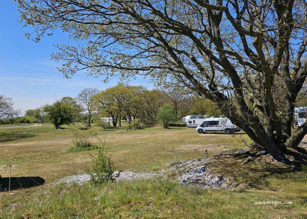 Møn Strandcamping — foto 5