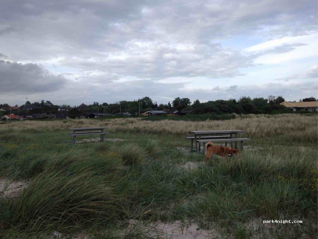 (4200) Slagelse - 136 Bildsøvej — foto 2