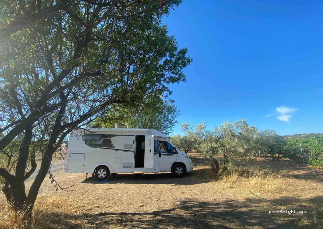 Perle de Provence — foto 3