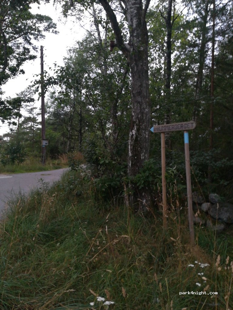 (3260) Larvik - 2B Gon — foto 4