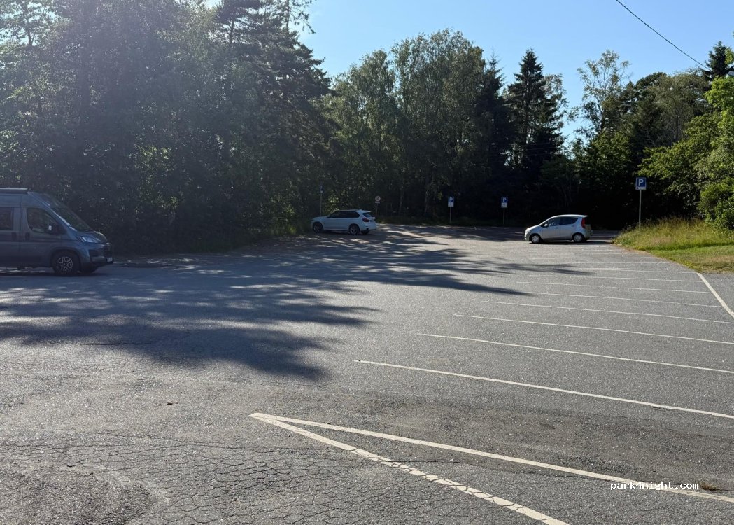 (3260) Larvik - 2B Gon — foto 5