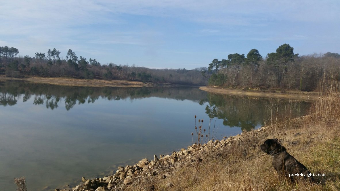 (33690) Sigalens - Lac de Sigalens — foto 3