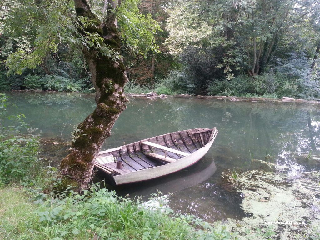 (79000) Niort - Chemin de Chey à la Roussille — foto 2