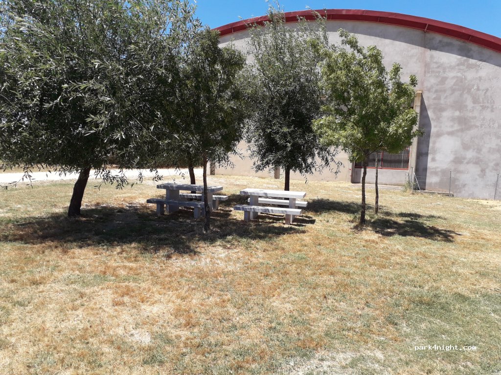 (49211) Carbellino de Sayago - Camino de las Aceñas de Morcillo — foto 4