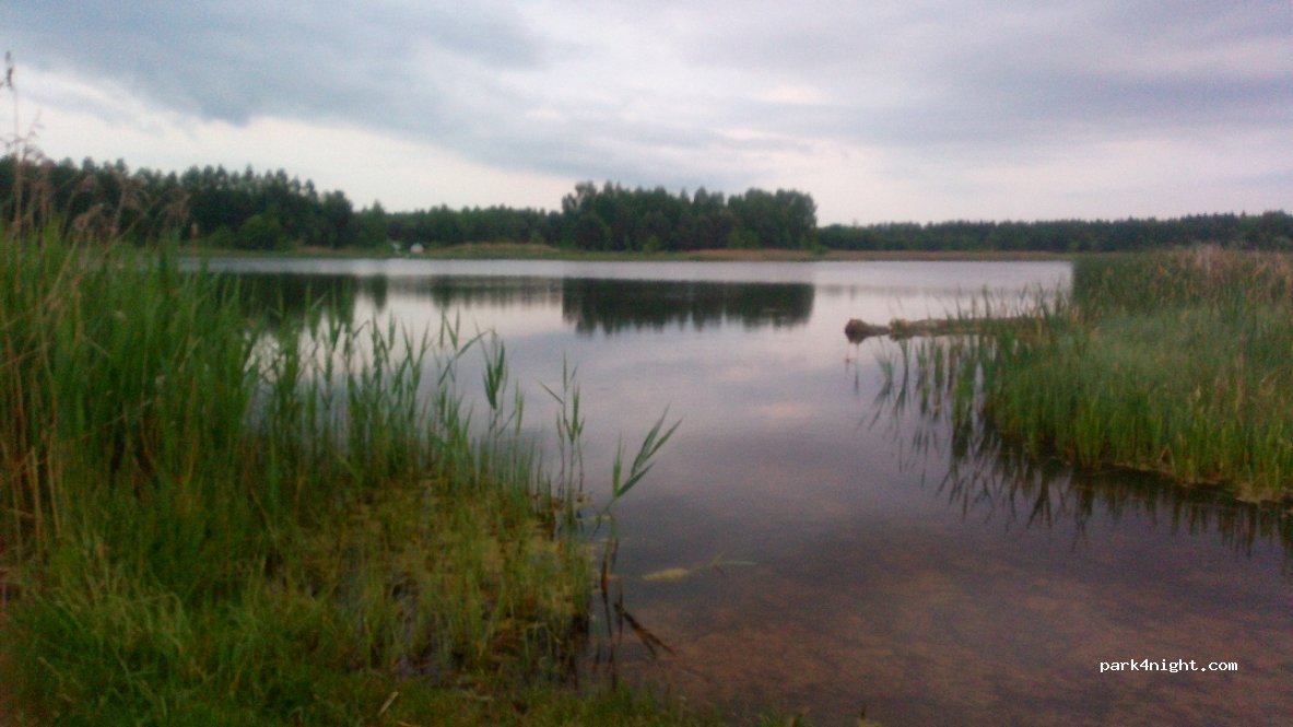 (16-120) Krynki - Unnamed Road — foto