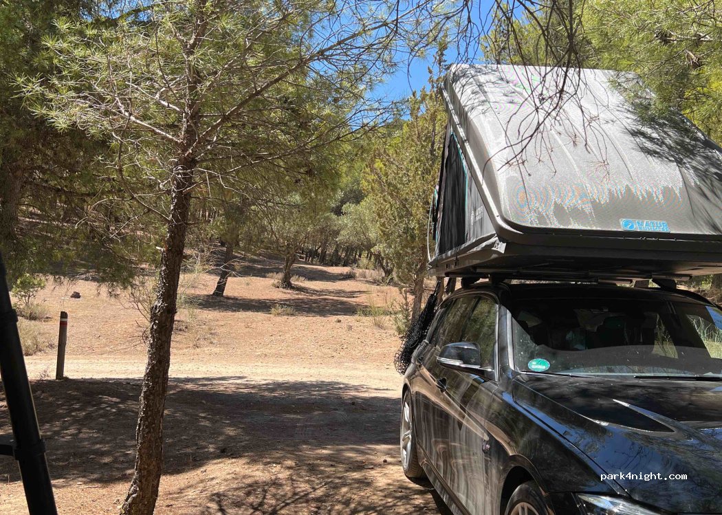 (29320) Campillos - unamed road — foto