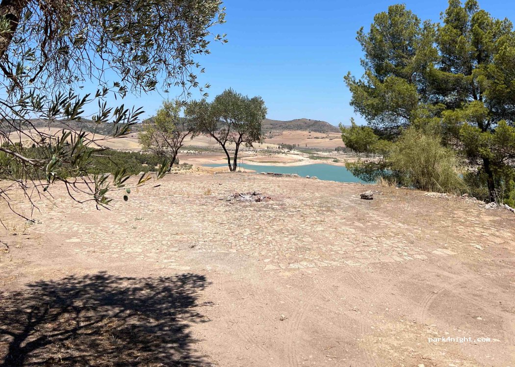 (29320) Campillos - unamed road — foto 2