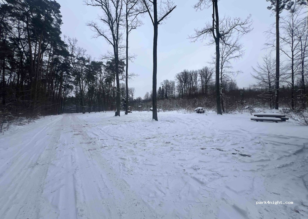 (95-200) Rydzyny - 23C Szeroka — foto 4