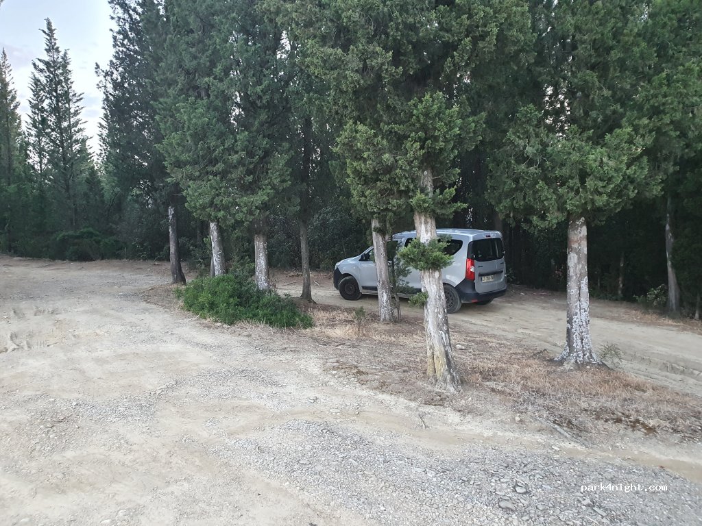 (50025) Montespertoli - Via delle Rose — foto