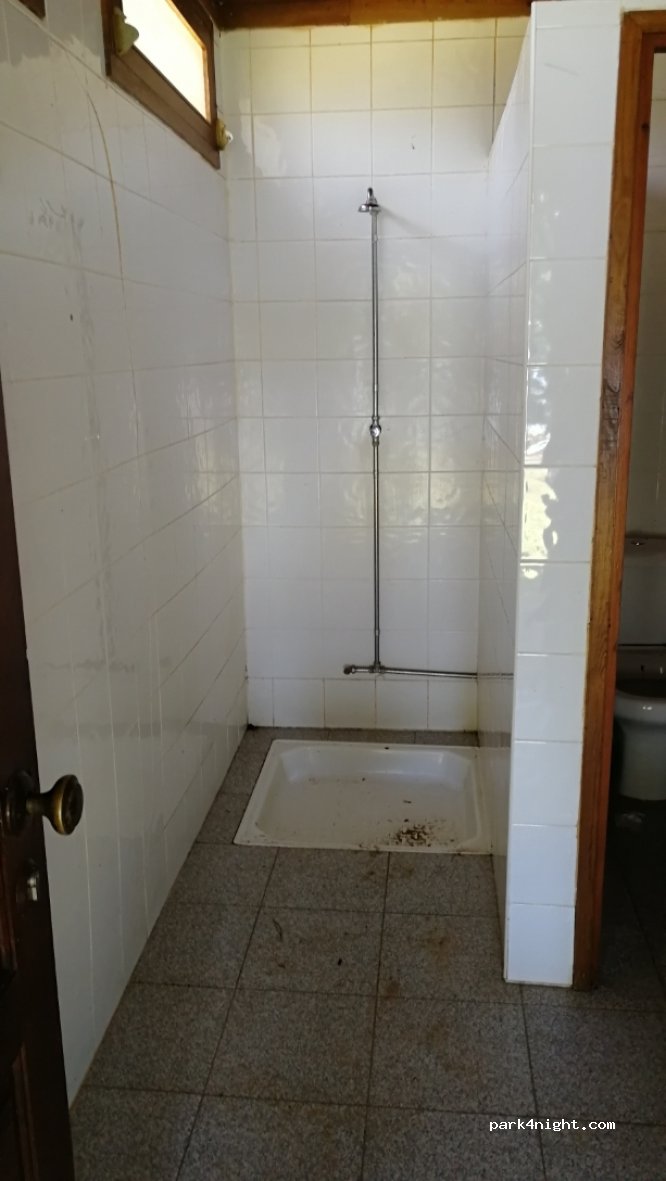 (3440) Pinheiro de Ázere - Estrada Senhora da Ribeira — foto 2