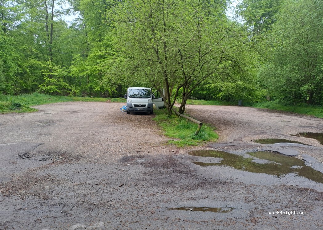 (76770) Houppeville - Route forestière du Faîte — foto 3
