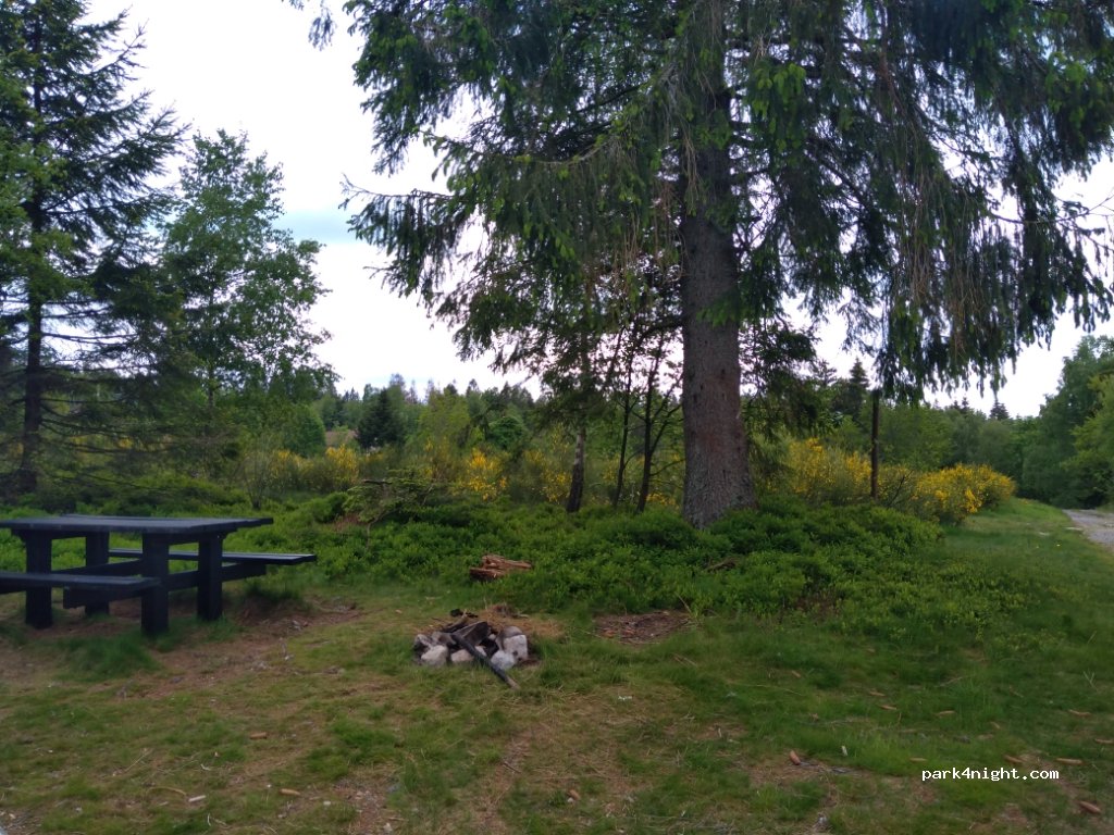 (88530) Le Tholy - 22 Chemin du Gazon du Cerisier — foto 2