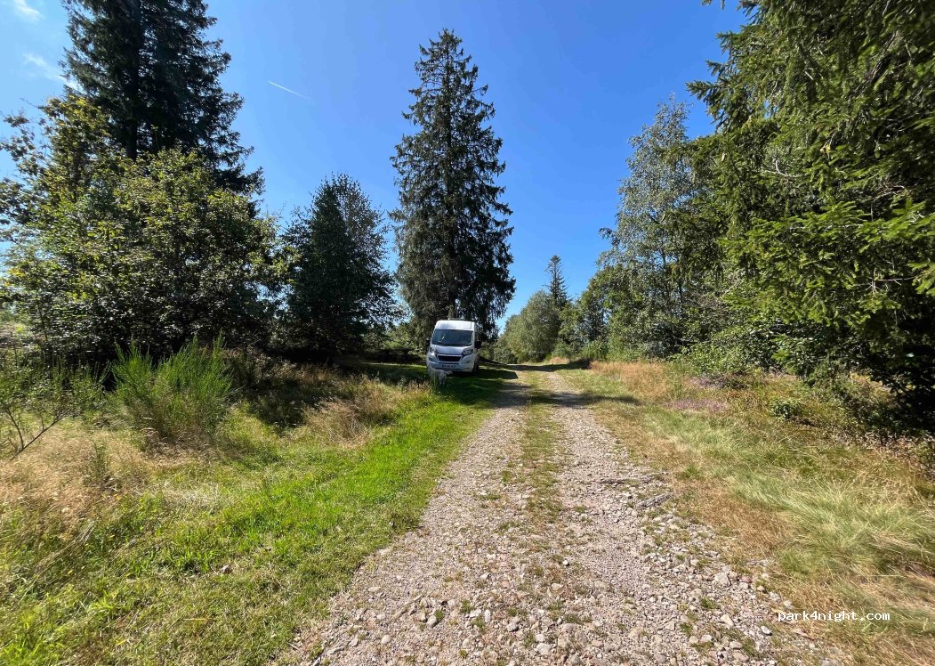 (88530) Le Tholy - 22 Chemin du Gazon du Cerisier — foto 4