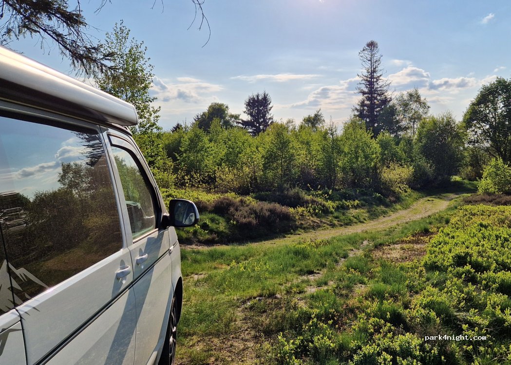 (88530) Le Tholy - 22 Chemin du Gazon du Cerisier — foto 5