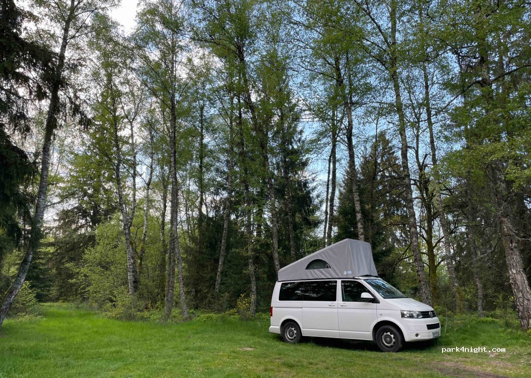 (88530) Le Tholy - Chemin du Gazon du Cerisier — foto 3