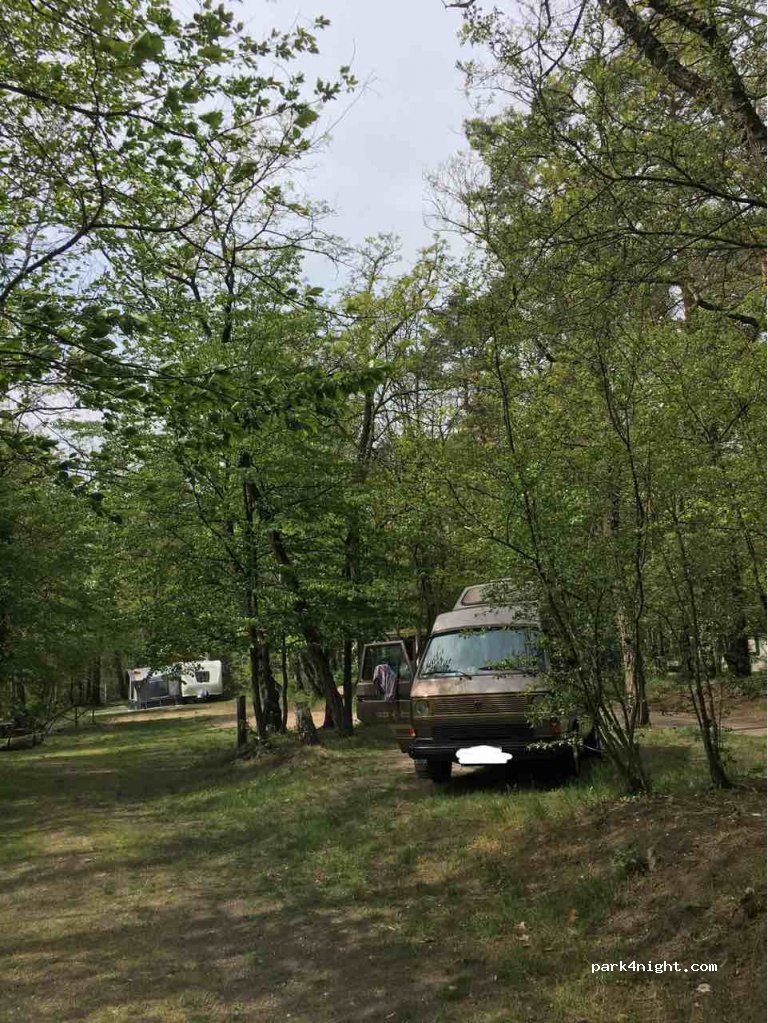 Naturcampingplatz Möhlauer See — foto
