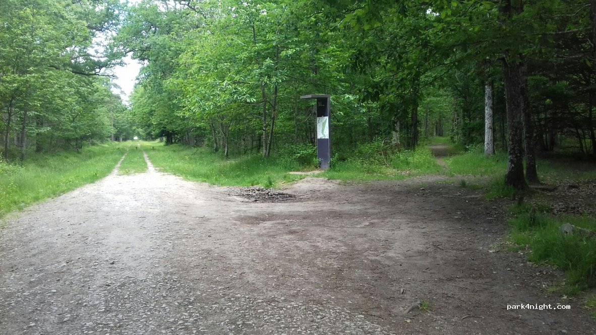 (41250) Chambord - Route de la Reine — foto