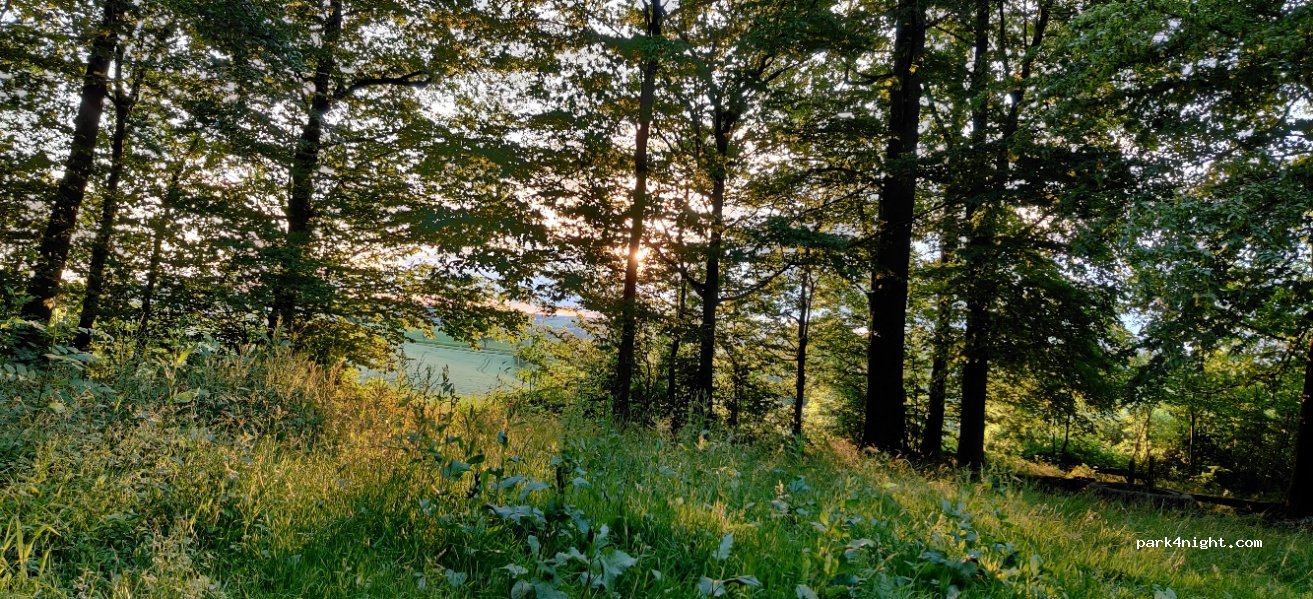 (74214) Schöntal - 1/1 Neusaß — foto 2