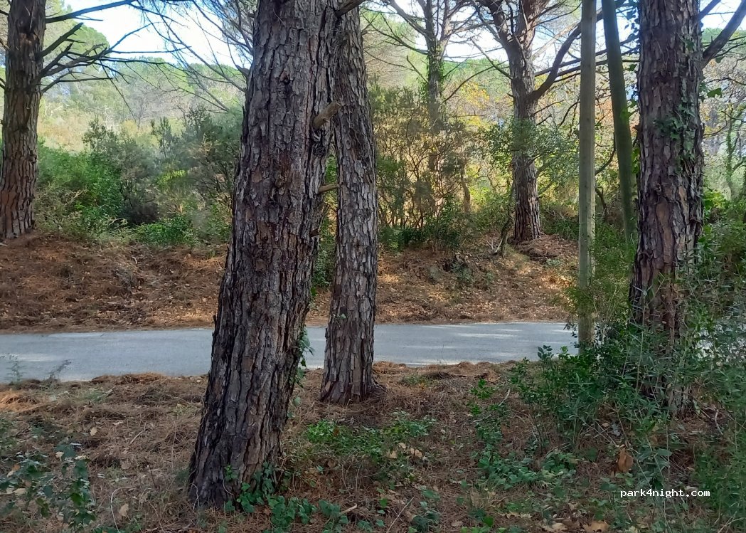 (83350) Ramatuelle - Chemin de Saint-André — foto 2