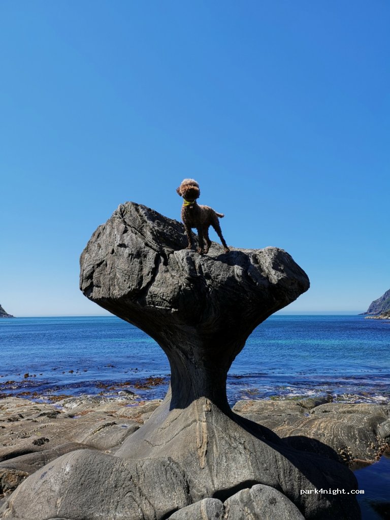 (6700) Måløy - 5 Sekundær Fylkesveg 601 — foto 4