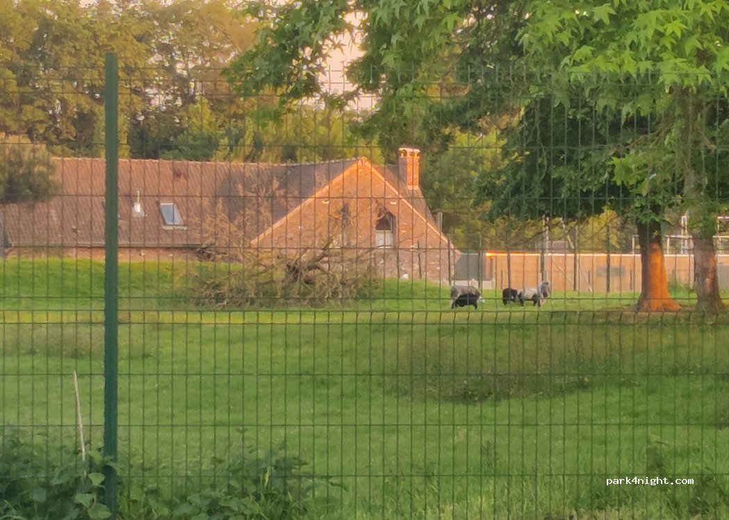 (59520) Marquette-lez-Lille - 24B Rue du Touquet — foto 2