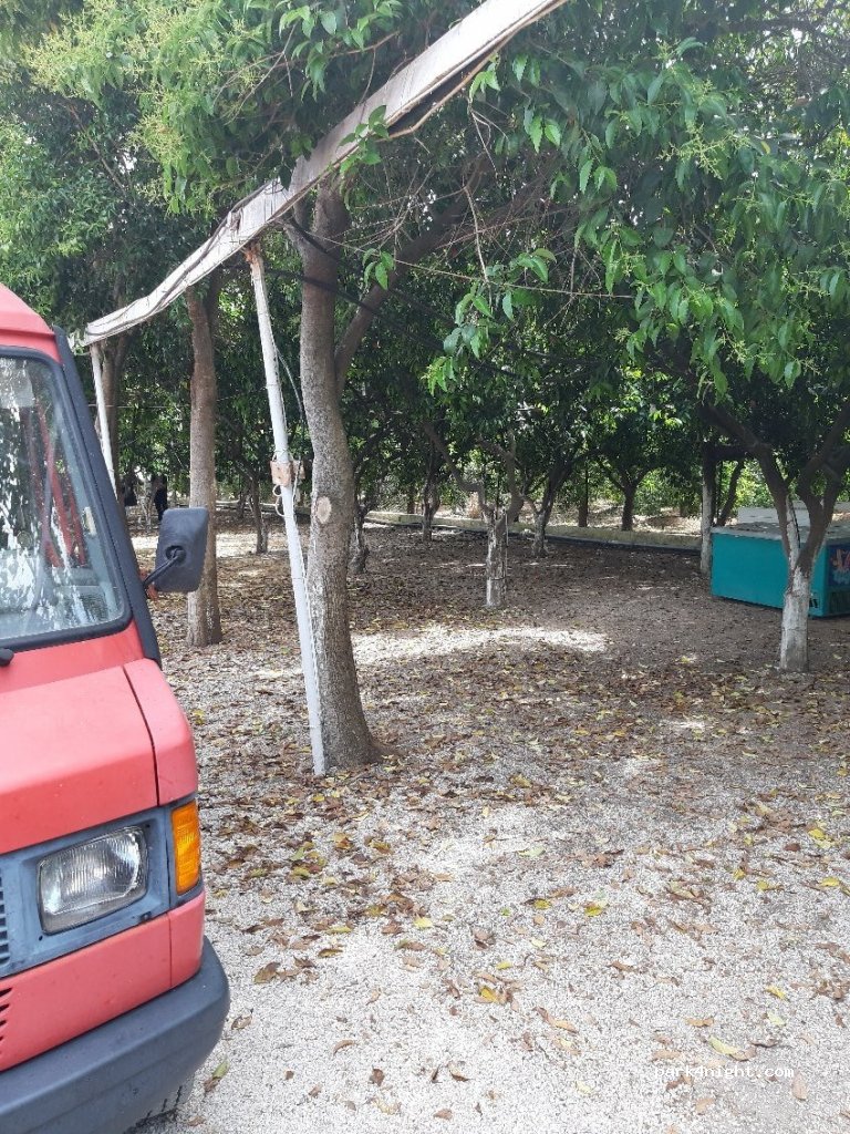 Camping Assini Beach — foto