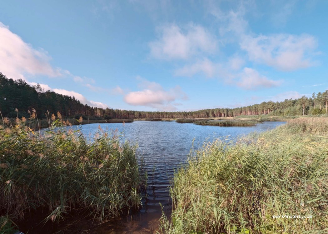 (29024) Kudruküla - — foto 3