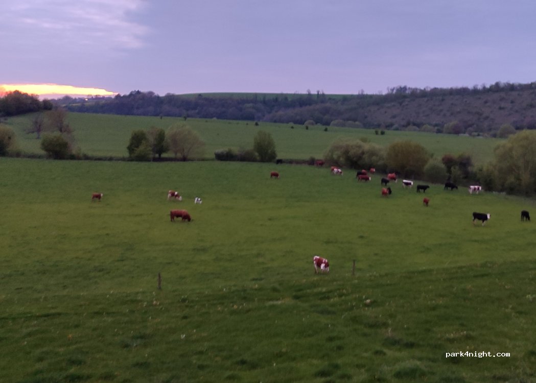 (88300) Autigny-la-Tour - Côte de Rivière — foto 5