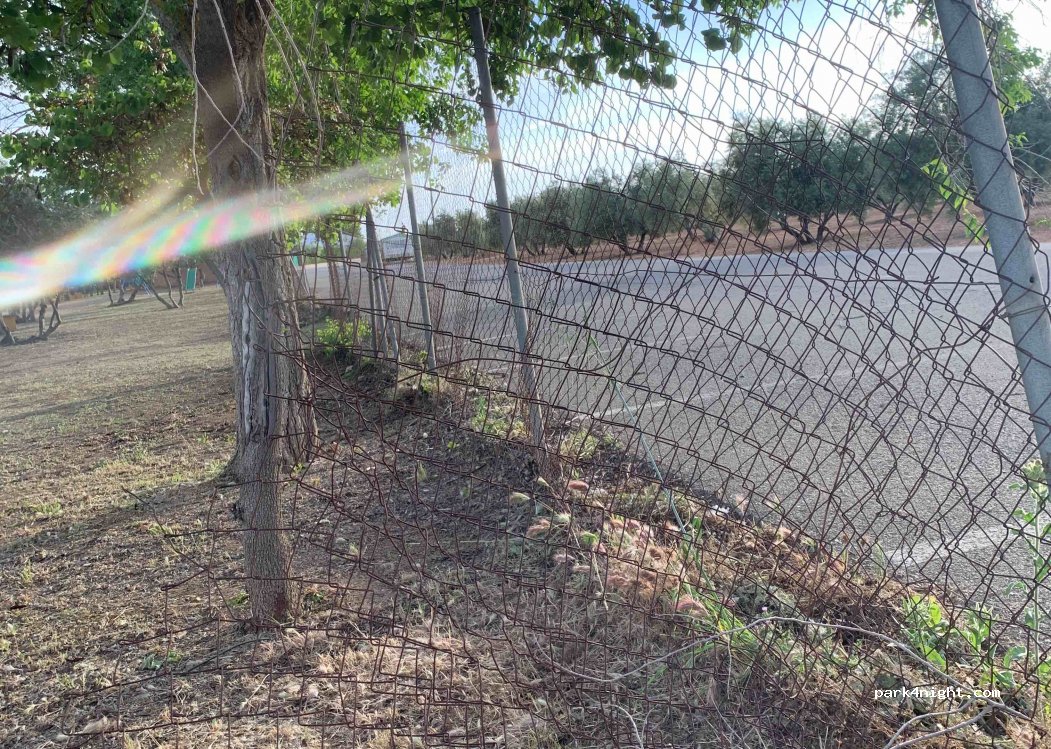 (29520) Fuente de Piedra - 88 Calle Campillos — foto 2