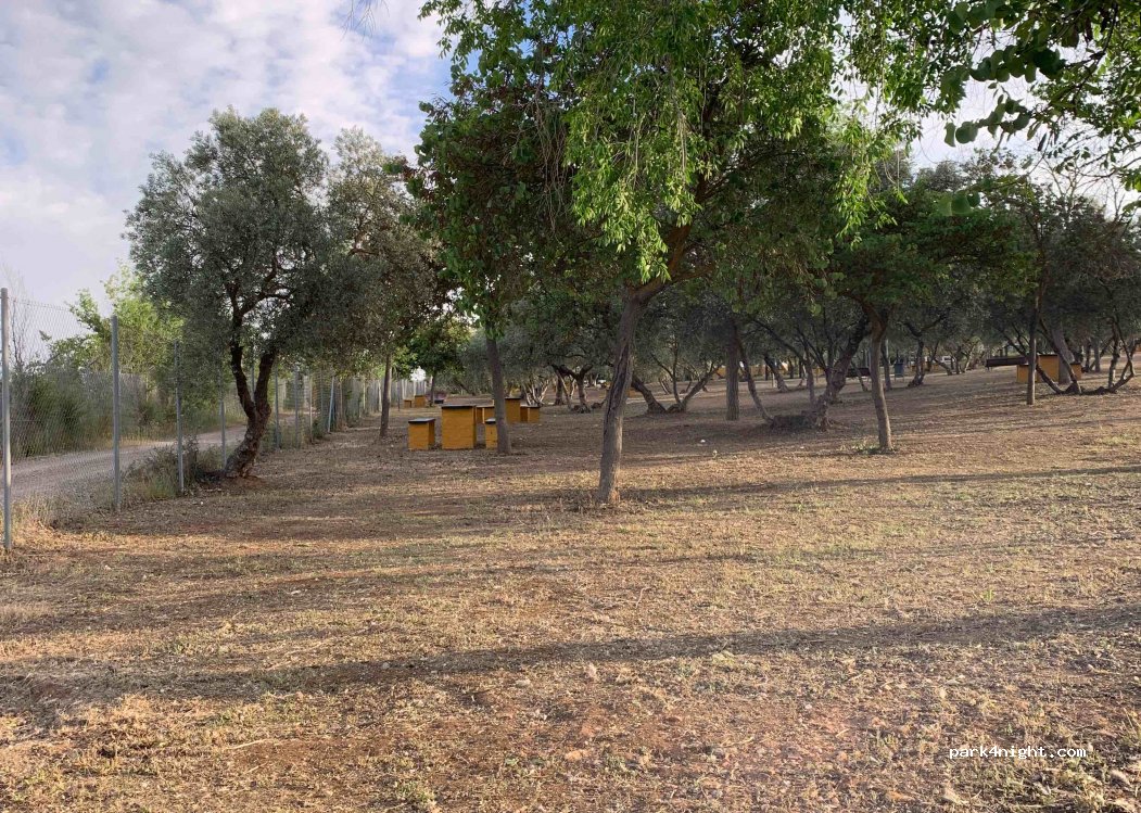 (29520) Fuente de Piedra - 88 Calle Campillos — foto 4
