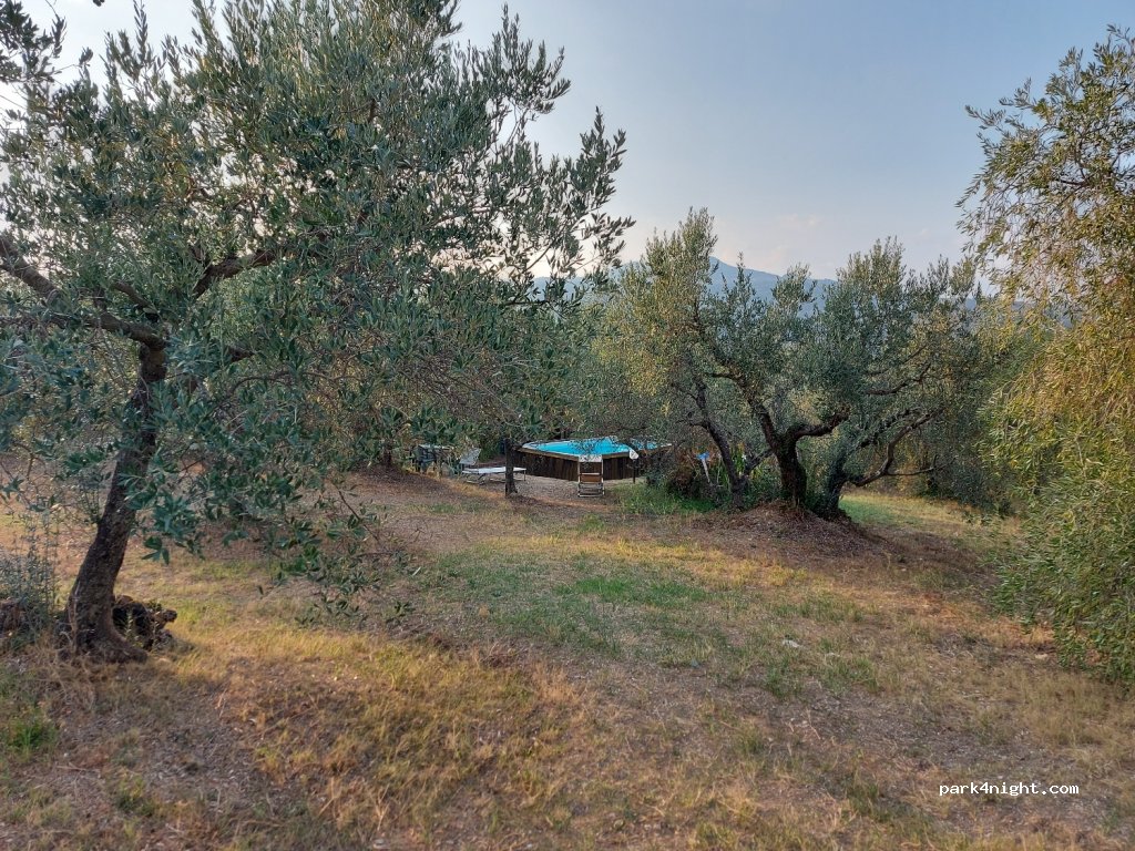 Punto Natura Coltivazione Biologica di olio — foto