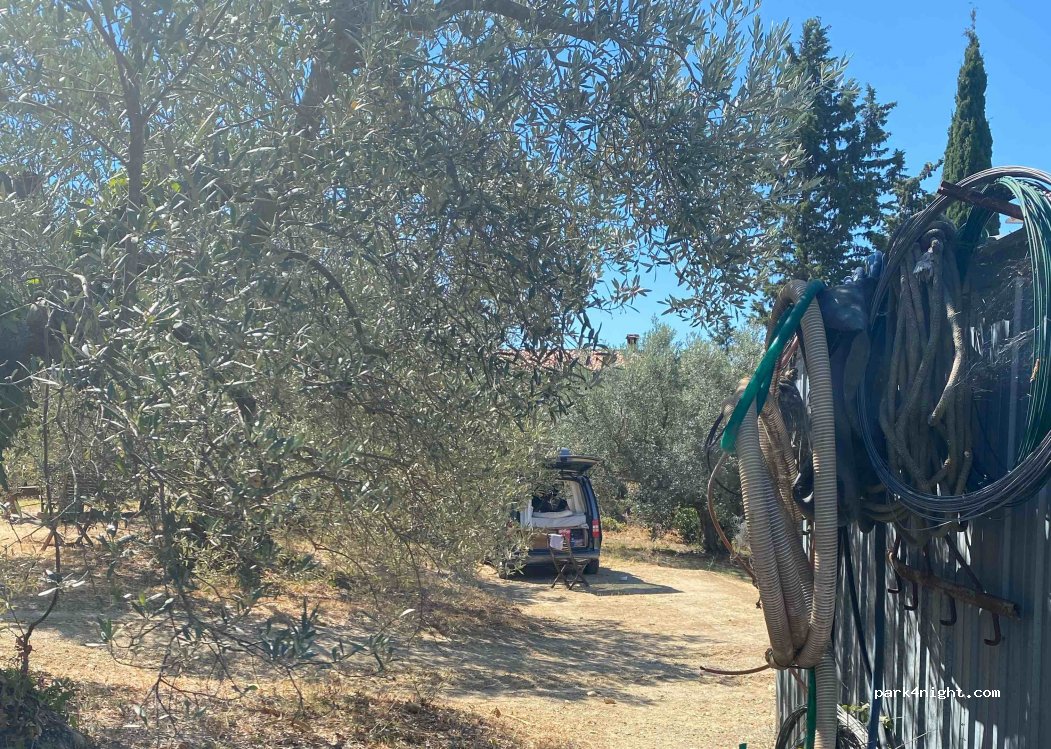 Punto Natura Coltivazione Biologica di olio — foto 2
