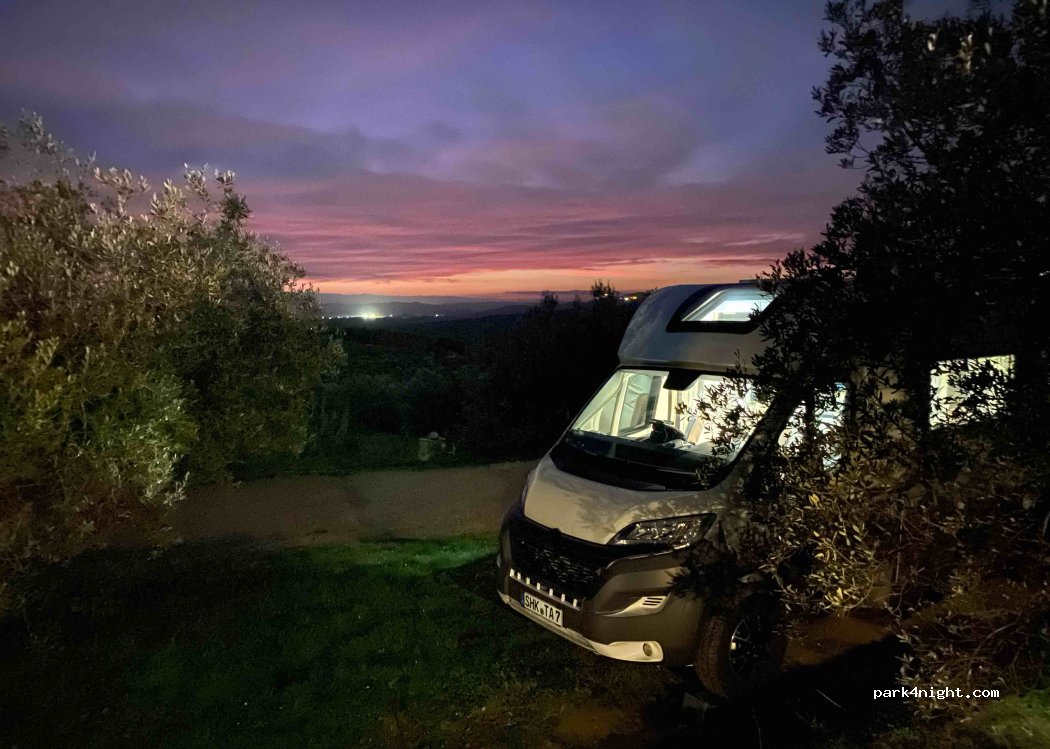 Punto Natura Coltivazione Biologica di olio — foto 4