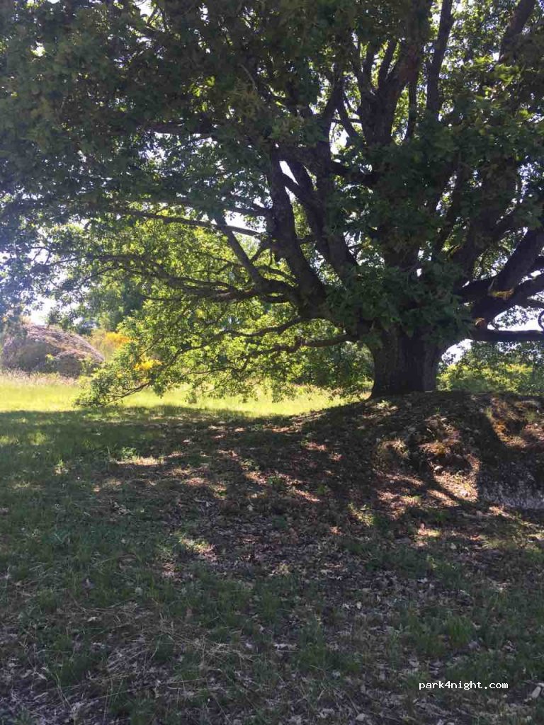 (04510) Le Chaffaut-Saint-Jurson - D12 — foto