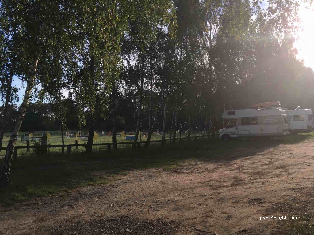 (17213) Fünfseen - 3 Kiefernhain — foto