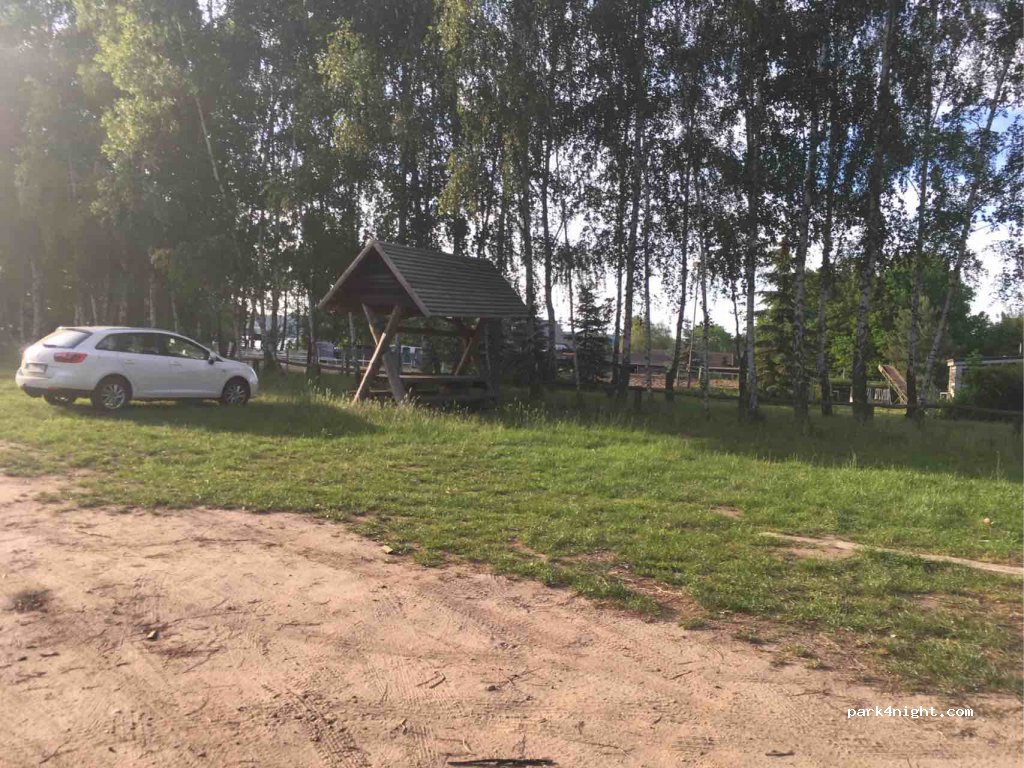 (17213) Fünfseen - 3 Kiefernhain — foto 2