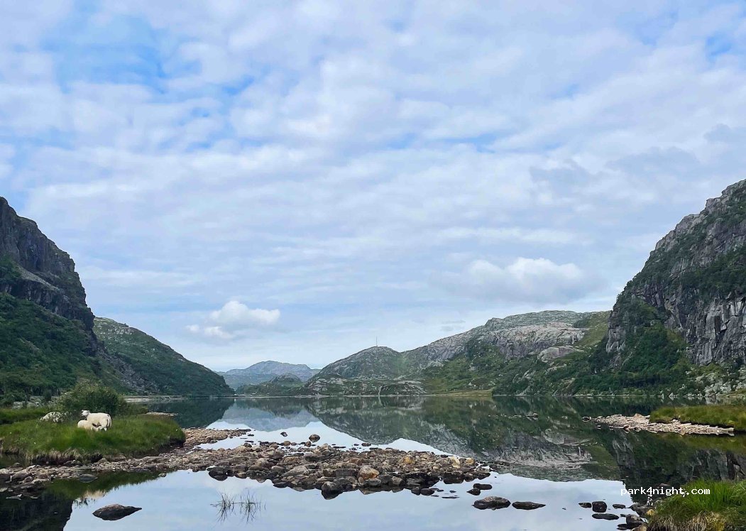 (4443)  - Primær Fylkesveg 45 — foto 3