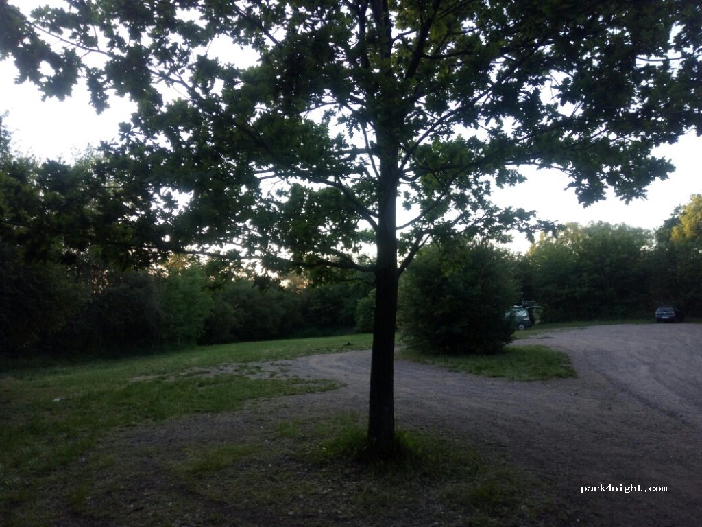 (06536) Südharz - 998 Fußstieg — foto 2