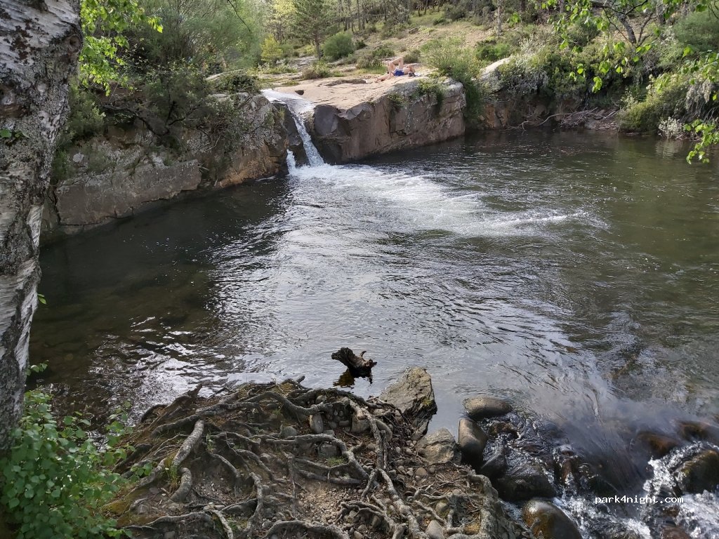 (42153) El Royo - Camino del Hayedo — foto
