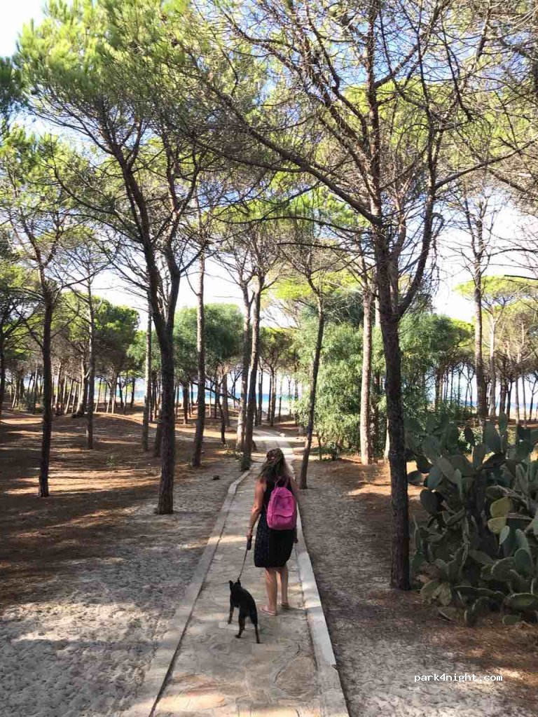 Camping Selema — foto 2