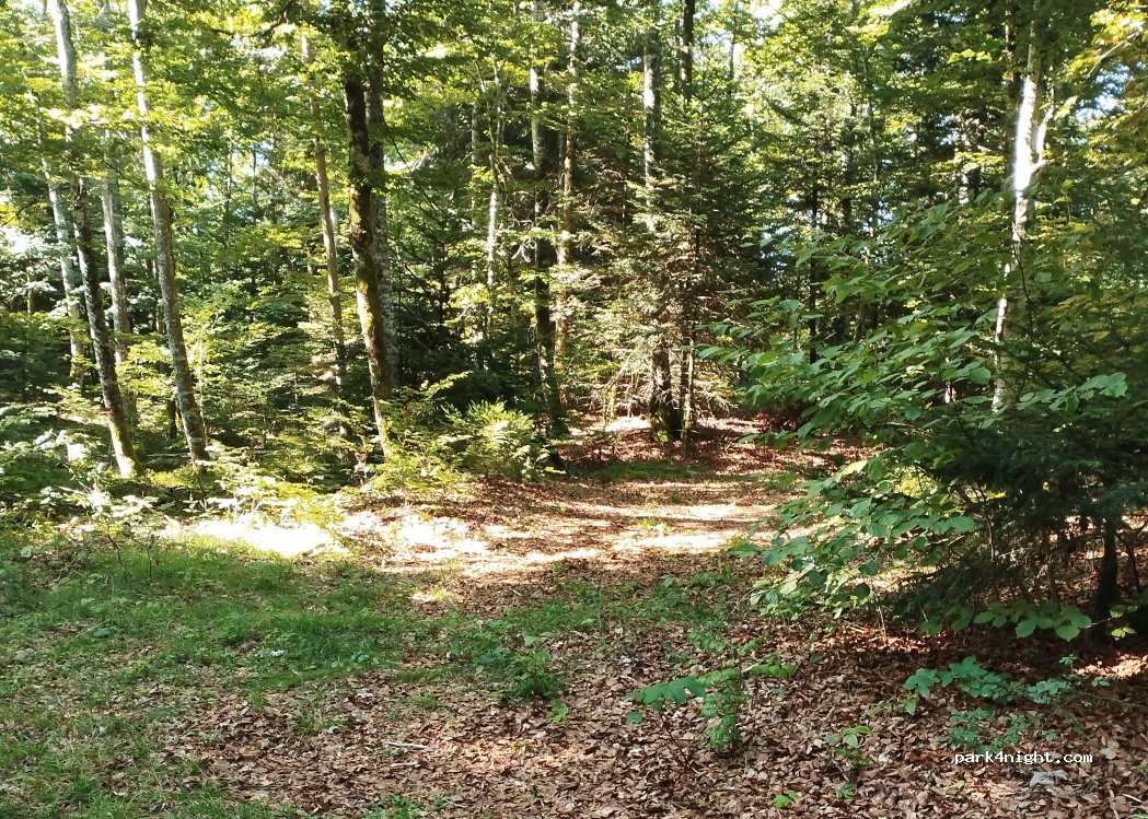 (39130) Le Frasnois - Unnamed Road — foto 4