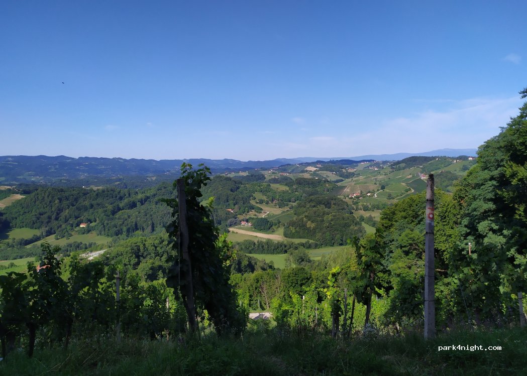 Buschenschenke Placki vrh — foto 4